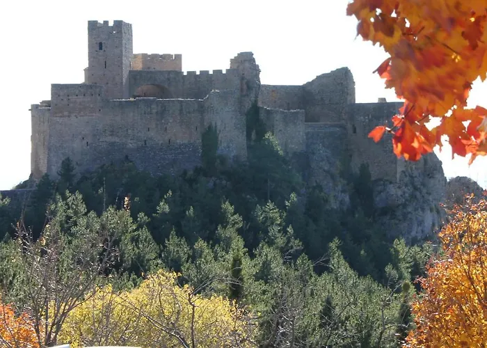 Casa Mirlo