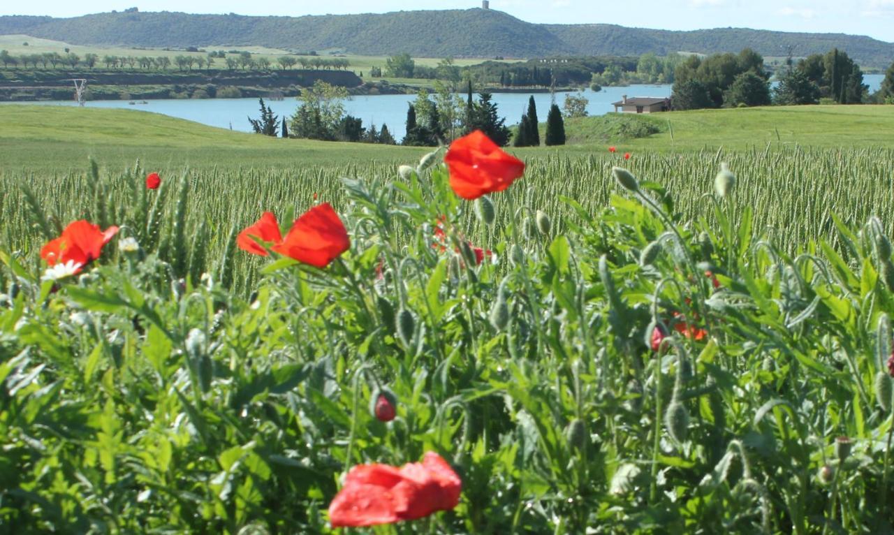 Holiday home Casa Mirlo Montmesa