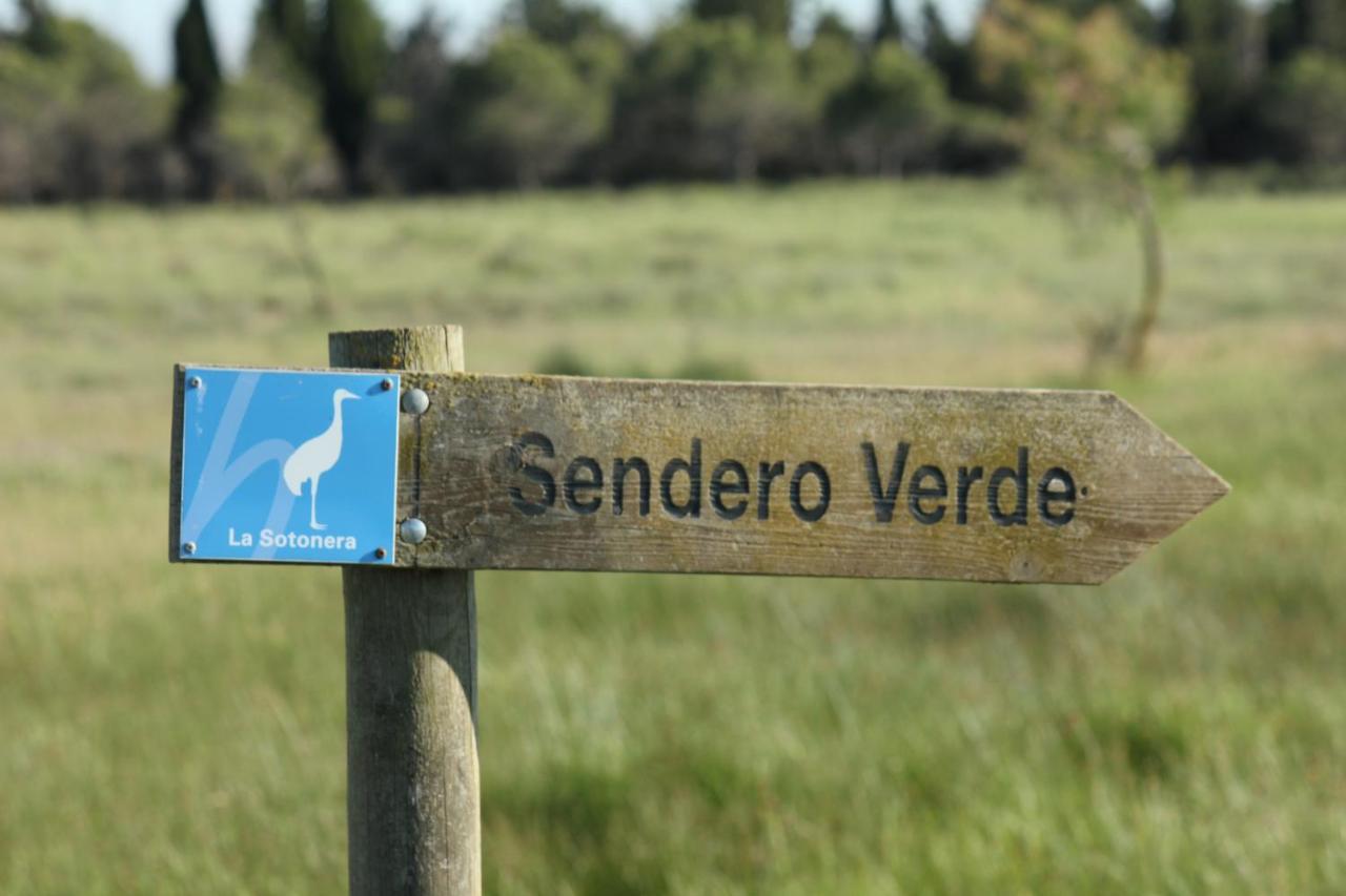 Casa Mirlo Holiday home Montmesa
